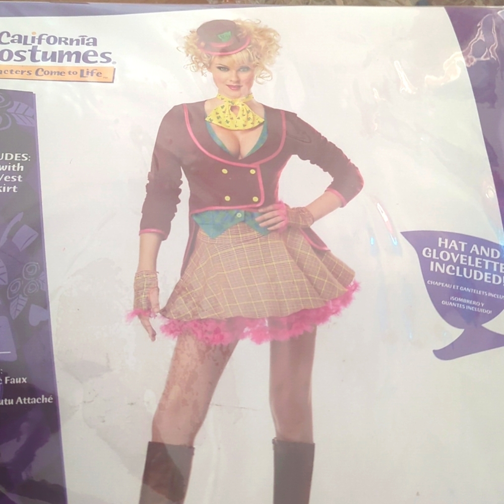 The Madd Hatter adult Halloween Costume large (10-12) Women's